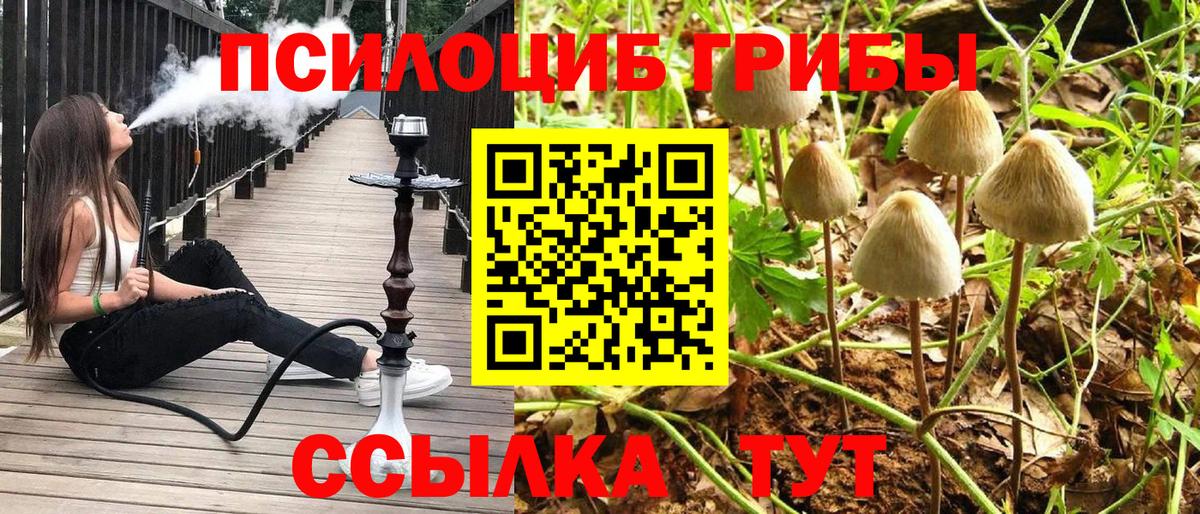 Астрахань  Псилоцибиновые грибы Cubensis  Галлюциногенные грибы прущие грибы  Вход с VPN 